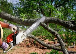 Leaf Removal in Bellmawr, NJ